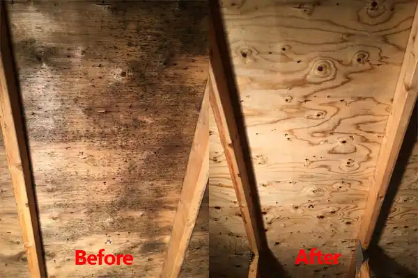 water damage restoration service South Bound Brook